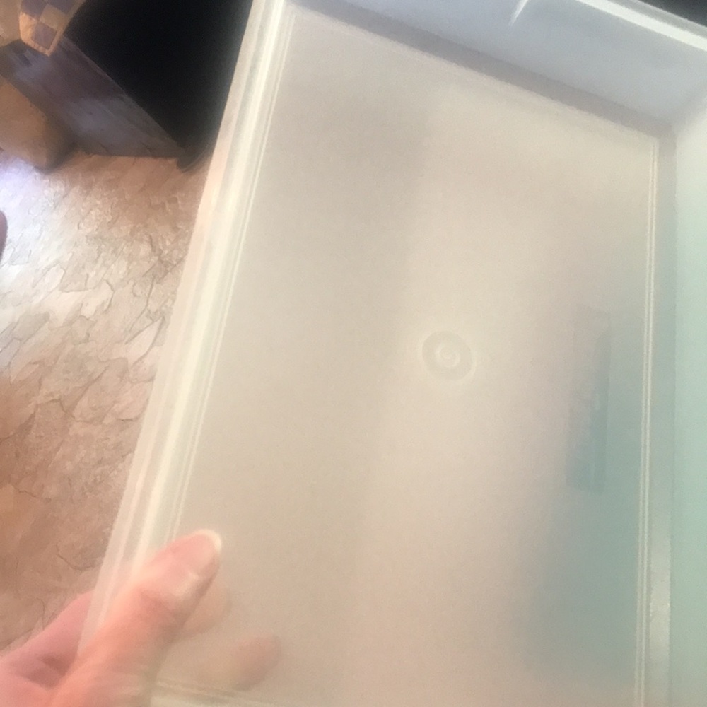 Tupperware Rectangle Container 290-9 White/Clear Body - Picture 8 of 16